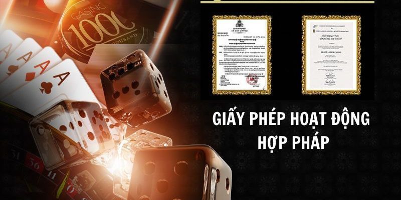 Vì sao nên chọn ST666? (Lý do thuyết phục)