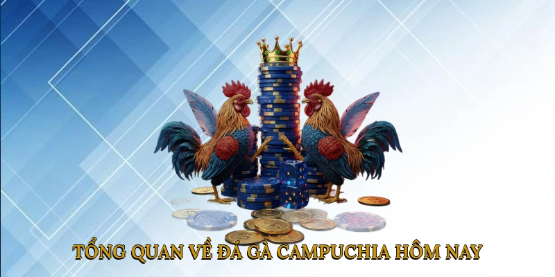 Tổng Quan Về Đá Gà Campuchia Hôm Nay